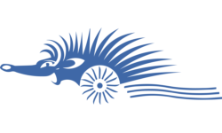 ИП Попов А.Ю.